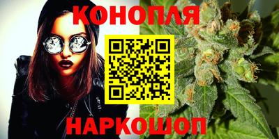 ALPHA-PVP Камышлов