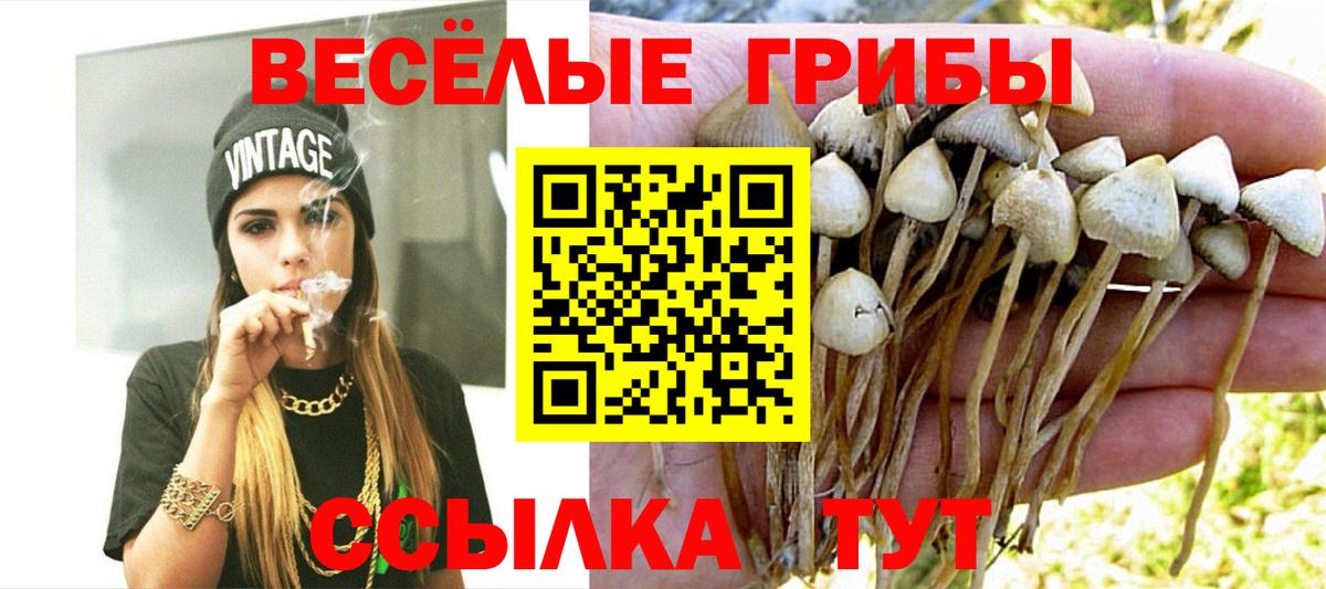 Галлюциногенные грибы Psilocybine cubensis Фрязино