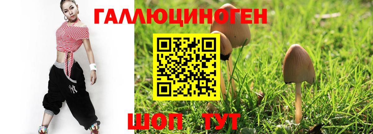Фрязино  Псилоцибиновые грибы Cubensis  Вход с VPN  Галлюциногенные грибы Magic Shrooms 